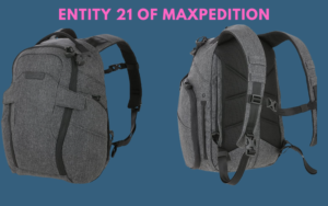 Entity 21 of Maxpedition